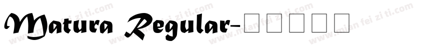 Matura Regular字体转换